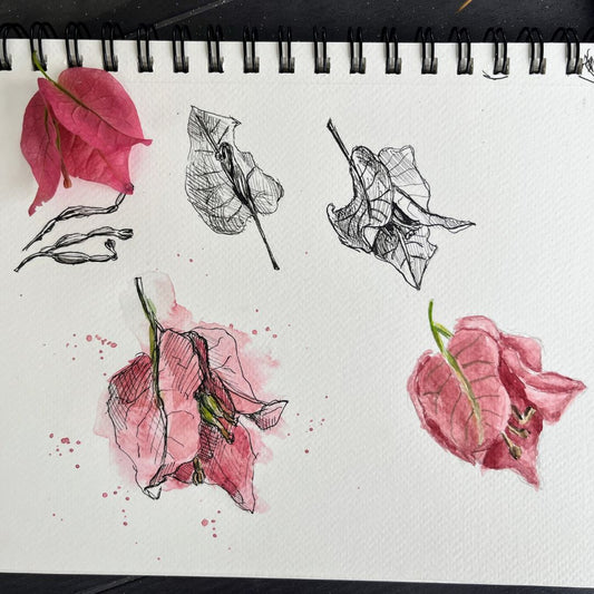 What a 30-minute drawing challenge taught me