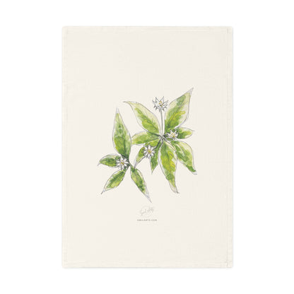 Botanical watercolor tea towel featuring a starflower illustration by Swil Arts. This elegant, eco-friendly kitchen towel showcases a delicate ink and watercolor rendering of white starflower with green leaves on a soft, neutral fabric. A perfect blend of art and functionality, this nature-inspired tea towel adds a touch of botanical beauty to any kitchen or dining space. Ideal for floral enthusiasts.