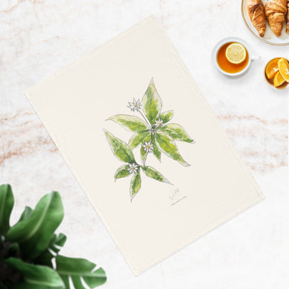 Botanical watercolor tea towel featuring a starflower illustration by Swil Arts. This elegant, eco-friendly kitchen towel showcases a delicate ink and watercolor rendering of white starflower with green leaves on a soft, neutral fabric. A perfect blend of art and functionality, this nature-inspired tea towel adds a touch of botanical beauty to any kitchen or dining space. Ideal for floral enthusiasts,