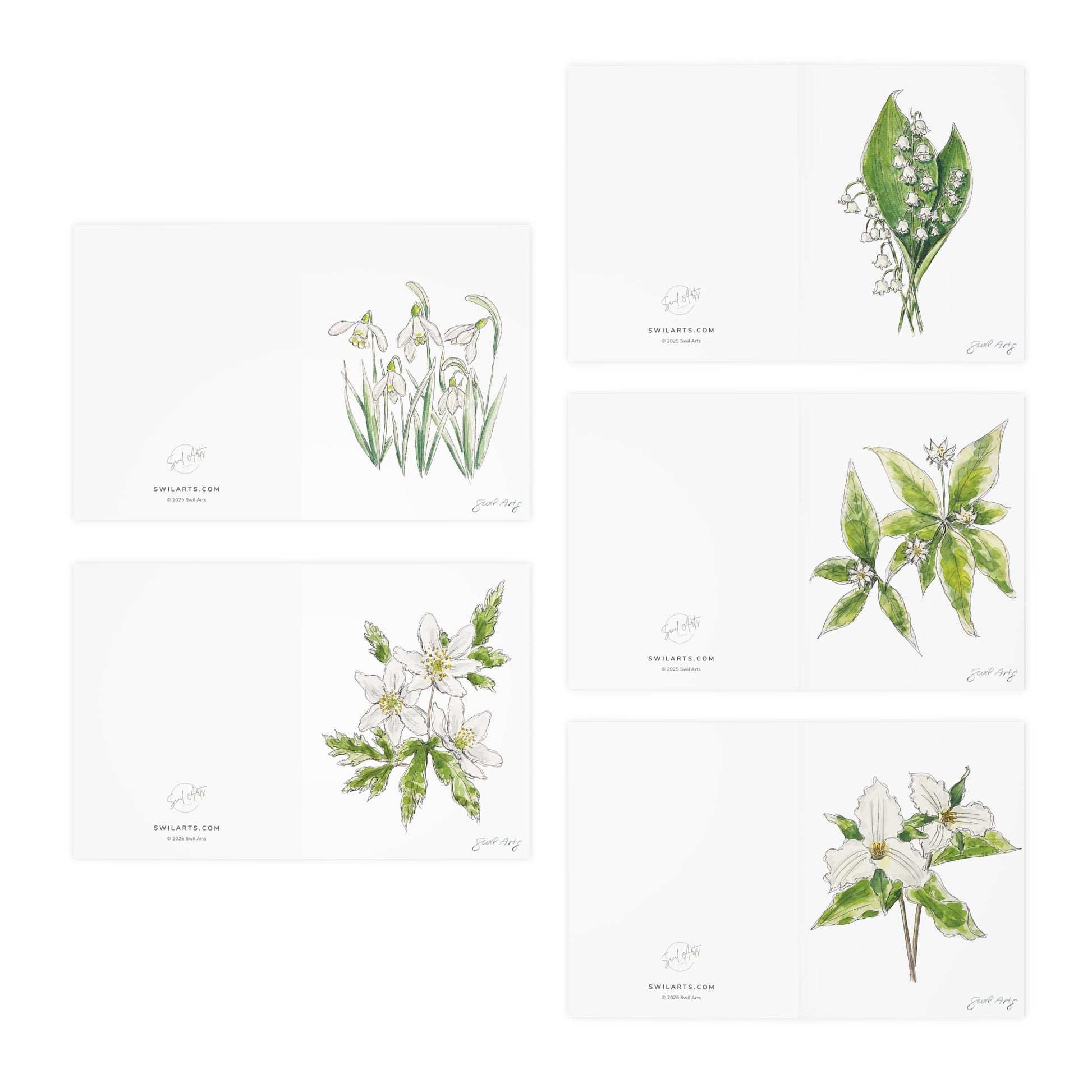 Set of botanical watercolor folded note cards by Swil Arts, featuring hand-painted floral illustrations. Each blank greeting card displays a delicate ink and watercolor rendering of flowers, including snowdrops, anemones, lily of the valley, and trillium. The back of each card includes the Swil Arts logo and website, swilarts.com. Perfect for nature lovers, botanical art enthusiasts, and handwritten messages, these eco-friendly cards combine artistic elegance with sustainability.