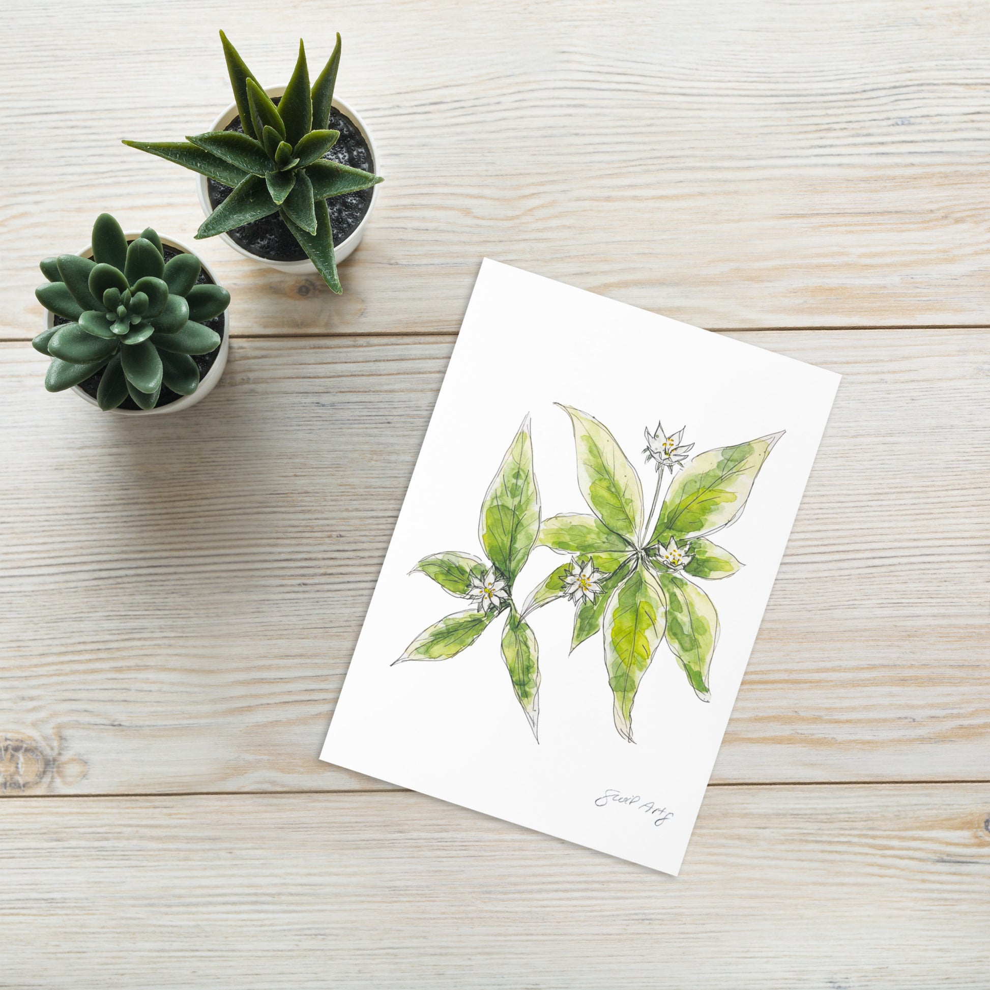 Starflower greeting card with a delicate watercolor and ink illustration. Botanical note card featuring a woodland-inspired floral design, perfect for nature lovers. The greeting card is nicely set with 2 small plants adding charm to the location.