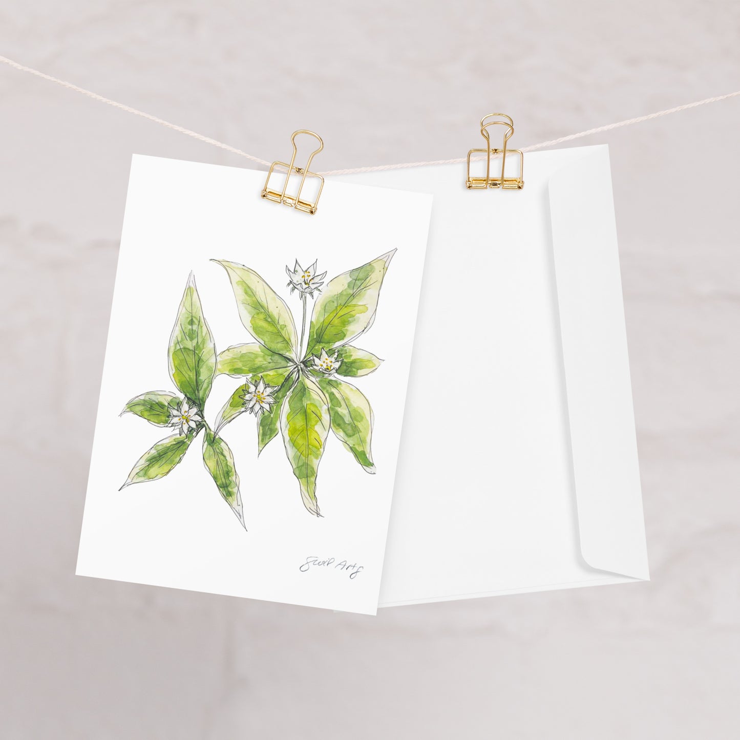 Starflower greeting card with a watercolor and ink botanical illustration, clipped to a string with a gold binder clip. Includes a matching white envelope. Perfect for nature lovers, special occasions, and handwritten notes.