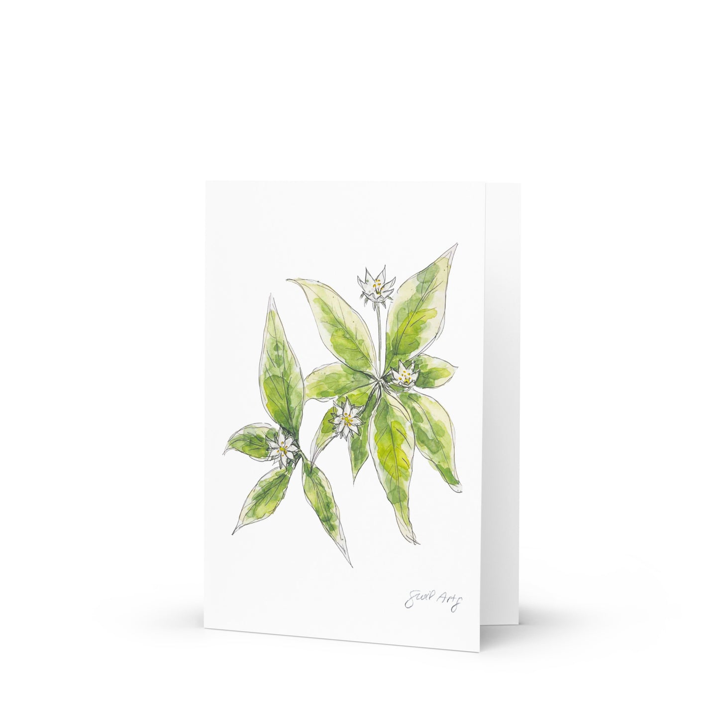 Starflower greeting card with watercolor and ink botanical illustration. Elegant woodland-inspired note card with blank interior, perfect for nature lovers and special occasions. 