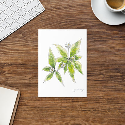 Starflower greeting card with a delicate watercolor and ink illustration. Botanical note card featuring a woodland-inspired floral design, perfect for nature lovers.