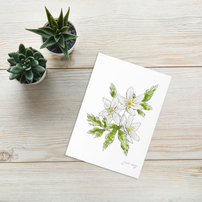 Wood anemone flower greeting card with a delicate watercolor and ink illustration. Botanical note card featuring a woodland-inspired floral design, perfect for nature lovers. The greeting card is nicely set with 2 small plants adding charm to the location.