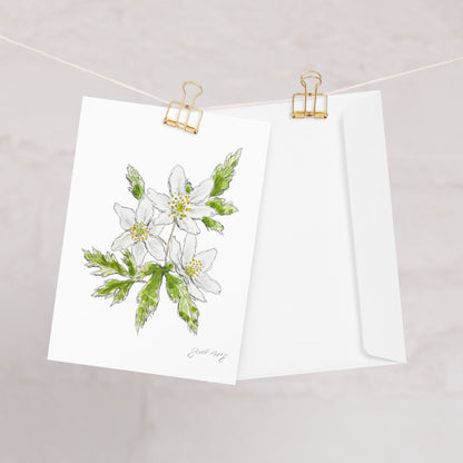 Wood anemone flower greeting card with a watercolor and ink botanical illustration, clipped to a string with a gold binder clip. Includes a matching white envelope. Perfect for nature lovers, special occasions, and handwritten notes.