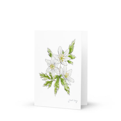 Wood anemone flower greeting card with watercolor and ink botanical illustration. Elegant woodland-inspired note card with blank interior, perfect for nature lovers and special occasions. 