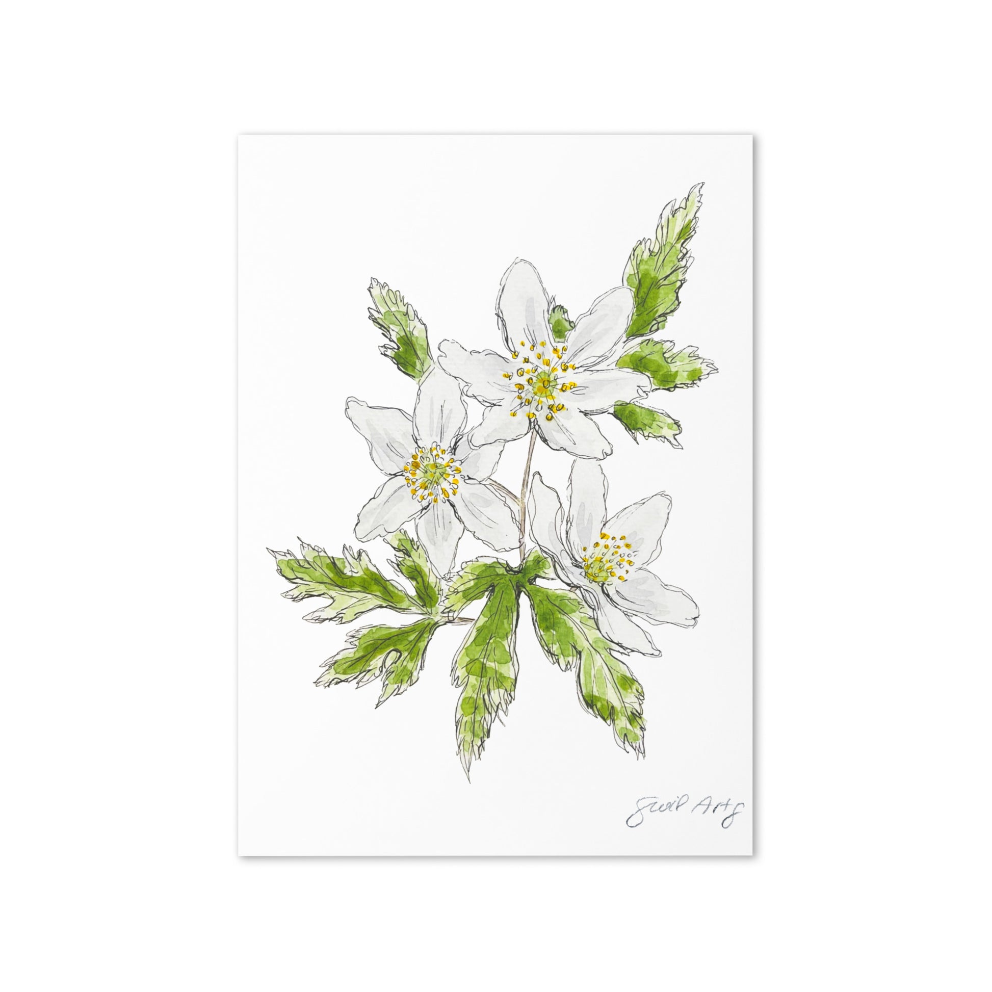 Wood anemone flower greeting card with watercolor and ink botanical illustration. Elegant woodland-inspired note card with blank interior, perfect for nature lovers and special occasions. 