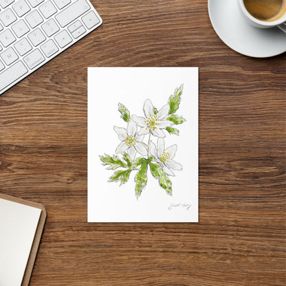 Wood anemone flower greeting card with a delicate watercolor and ink illustration. Botanical note card featuring a woodland-inspired floral design, perfect for nature lovers.