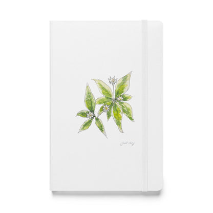 White hardcover notebook featuring a delicate starflower illustration by Swil Arts. This botanical watercolor and ink design showcases the beauty of nature, making it perfect for journaling, sketching, or note-taking. The notebook includes an elastic closure for convenience, ideal for artists, writers, and nature lovers seeking elegant stationery with a floral touch