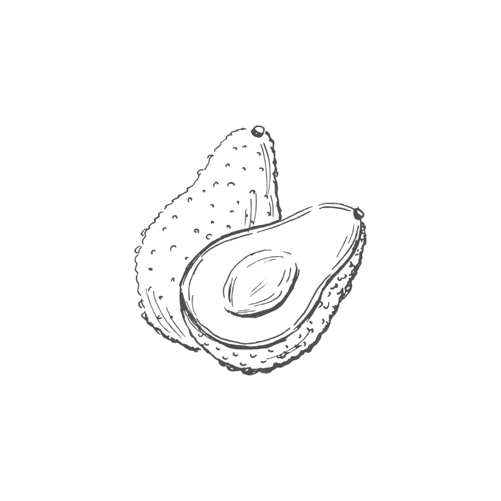 Black and white illustration of an avocado by Swil Arts